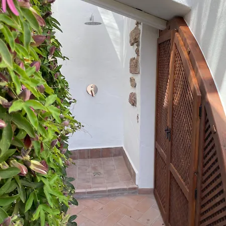 Casa Olivo